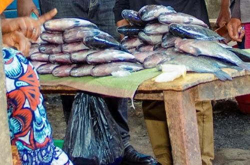 Beni : les mesures de contrôle contre Ebola provoquent une flambée des prix des produits importés d’Ouganda