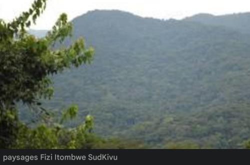 Insécurité au Sud-Kivu : les épreuves de l’ENAFEP reportées dans plusieurs localités du secteur Itombwe