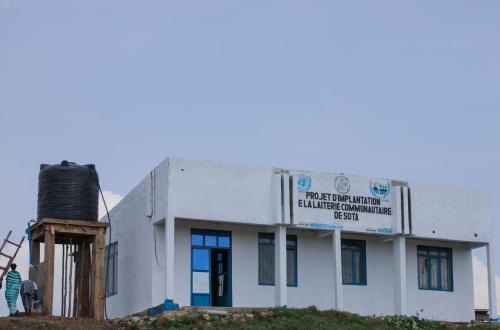 Ituri : la MONUSCO investit 447 000 dollars dans la réinsertion des ex-combattants et la stabilisation des communautés à Irumu