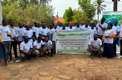 Sud-Kivu : « Primate Expertise » associe les jeunes de Miti dans la lutte contre le braconnage au Parc National de Kahuzi-Biega