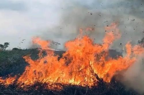 Drame au Kwilu : trois enfants mineurs trouvent la mort  dans un feu de brousse