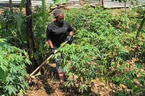 Ituri : déplacés par les conflits, des jeunes reconstruisent leur vie grâce aux formations de la MONUSCO