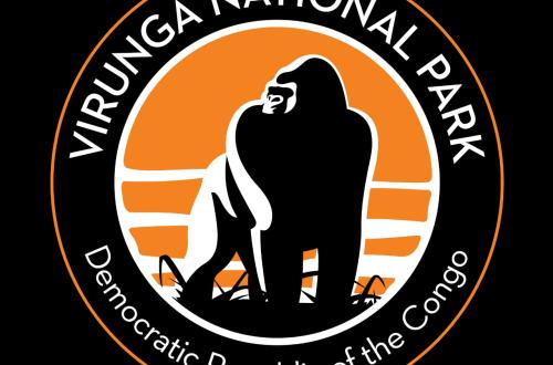 Nord-Kivu : la jeunesse dénonce le report du recrutement des écogardes du Parc des Virunga et réclame un traitement équitable