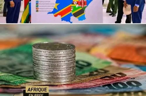 Communauté d'Afrique de l'Est : la monnaie unique régionale désormais attendue pour 2031