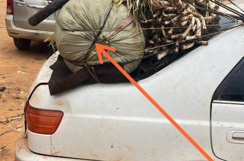 Mambasa : l’armée intercepte un nouveau chargement de munitions de guerre