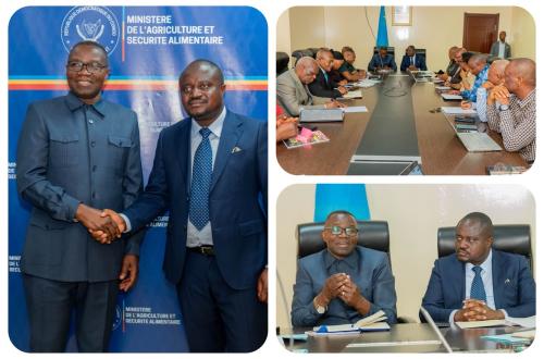RDC : les ministères de l’Agriculture et du Commerce extérieur unissent leurs efforts pour stimuler les exportations agricoles