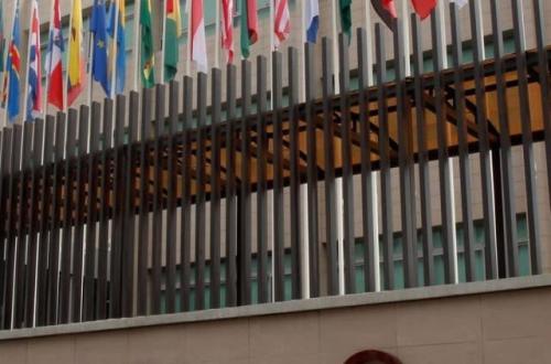 Côte d’Ivoire : la RDC participe à la 114e session de l’Organisation internationale du cacao