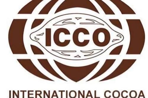 Côte d’Ivoire  : la RDC accède à la Vice-Présidence du Comité économique de l’ICCO
