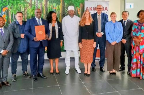 Cacao : le nouvel accord international entrera en vigueur le 1er octobre 2026