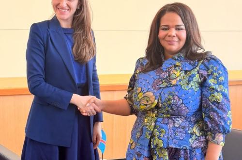 ONU : Thérèse Kayikwamba échange avec la Roumanie sur la coopération bilatérale et la Francophonie