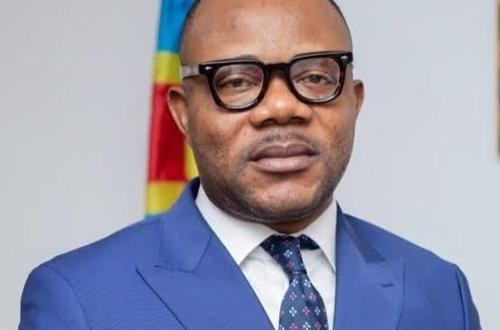 RDC - Mines : suspension du DG du SAEMAPE, Jean-Paul Kapongo Kadiobo