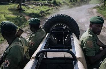 Nord-Kivu : 2 écogardes tués dans une attaque armée au Parc des Virunga