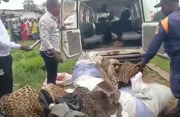 Maniema : un vaste réseau de trafic d’espèces protégées démantelé à Kindu
