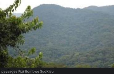Sud-Kivu : affrontements à Kalingi entre les FARDC et les combattants du MRDP-Twirwaneho/AFC-M23