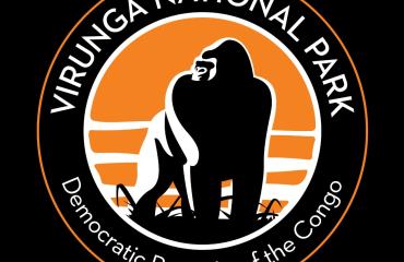 Nord-Kivu : la jeunesse dénonce le report du recrutement des écogardes du Parc des Virunga et réclame un traitement équitable