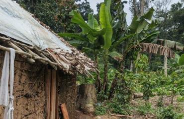 Ituri : plus de 40 civils enlevés en une semaine à Mambasa, la piste des ADF privilégiée
