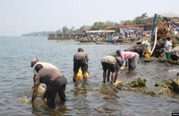 Goma : un jeune assimilé aux Wazalendo retrouvé mort dans le lac Kivu