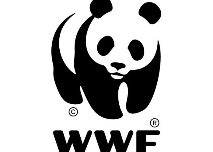 <p>OFFRE D’EMPLOI : WWF-DRC recrute un Responsable national de la Logistique</p>
