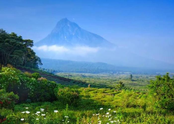 Nord-Kivu : La FECOPEILE demande au gouvernement Congolais de retirer les blocs pétroliers IV et V de la liste de ceux mis en vente