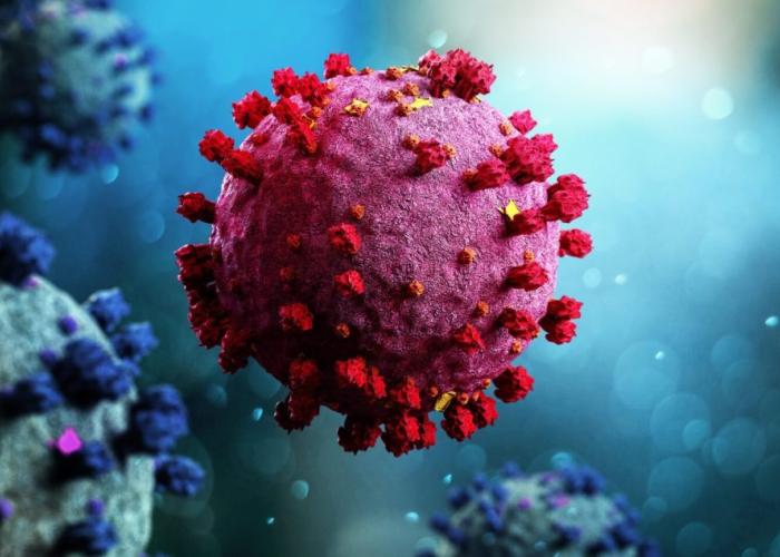 Covid-19 : "Il faudrait analyser la situation épidémiologique au pays après la déclaration de la fin d’urgence sanitaire" (DPS)