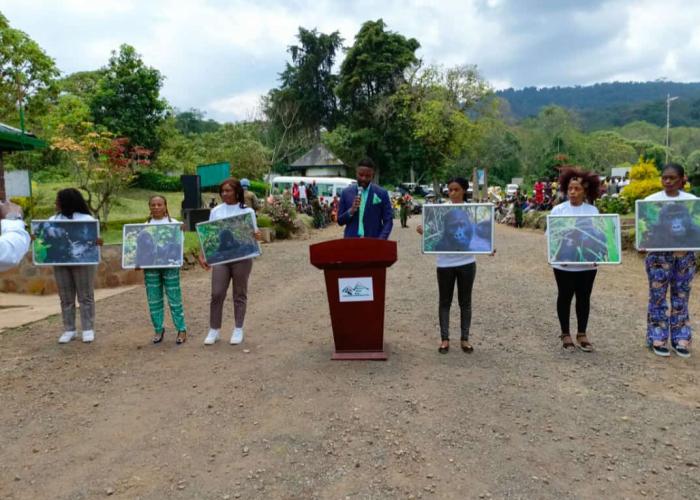 RDC : Le Parc National de Kahuzi Biega baptise six gorilles pour renforcer la conservation de l'espèce