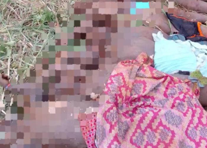 Ituri : les corps de 15 civils tués à Tali-Singo soumis à une autopsie