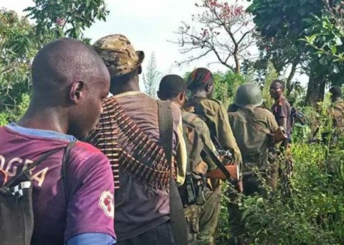 Ituri : deux civils périssent dans une embuscade tendue par les présumés ADF à Irumu