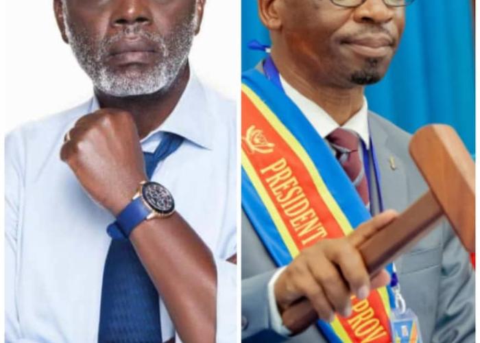 Contentieux électoral : Elvis Mutiri wa Bashara prend la place de Kambale Nzughundi à l'assemblée provinciale du Nord-Kivu