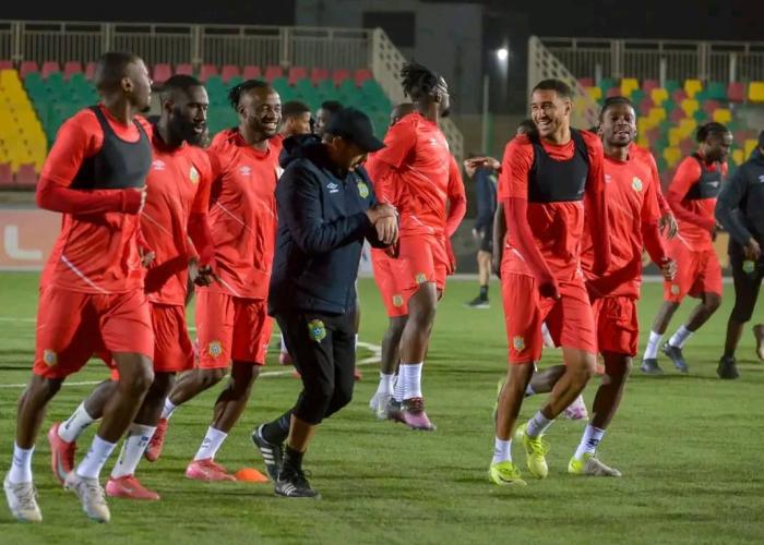 Léopards : deux matchs amicaux en perspective