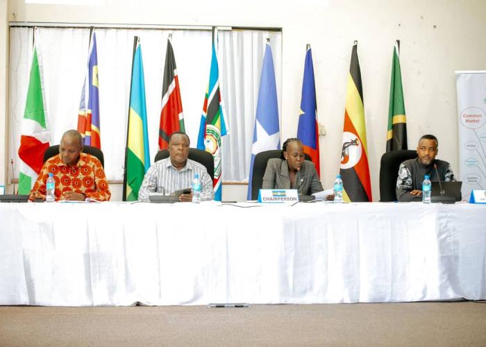 Arusha-l’EAC accélère l’industrialisation régionale : cap sur les secteurs cuir, textile, automobile et pharmaceutiqueArusha-l’EAC accélère l’industrialisation régionale : cap sur les secteurs cuir, textile, automobile et pharmaceutique