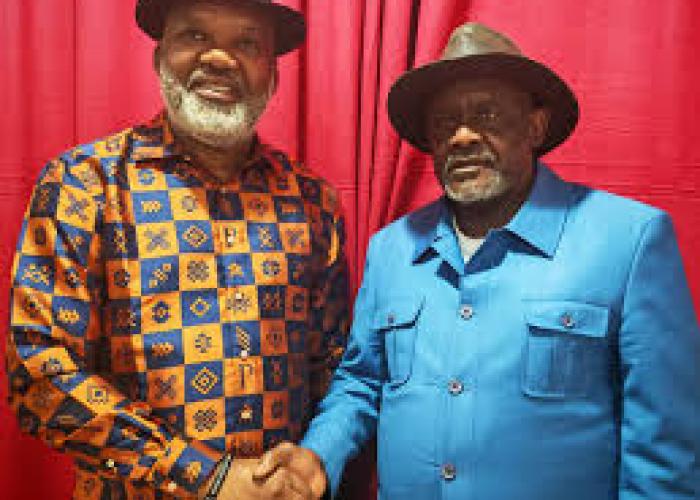 Kinshasa suspend les partis politiques de Frank Diongo, Corneille Nangaa et Thomas Lubanga