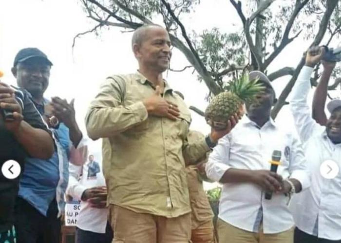 Bientôt l'installation de l’usine de production du jus d’ananas à Maboya, don de Moïse Katumbi